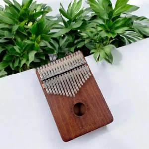 Wooden Goldesi Kalimba with Greenery in the Background