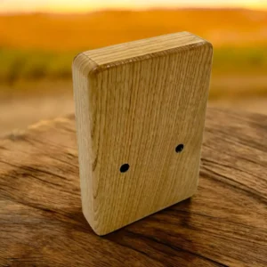 Goldesi natural wood kalimba rear view showing wood finish and back design